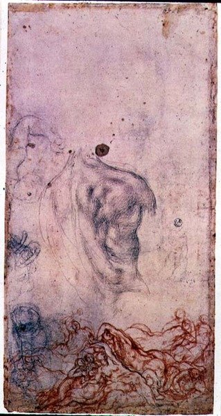 Estudio para un retrato de Cosimo I Giovinetto con otros estudios de cuerpos retorcidos de Jacopo Pontormo