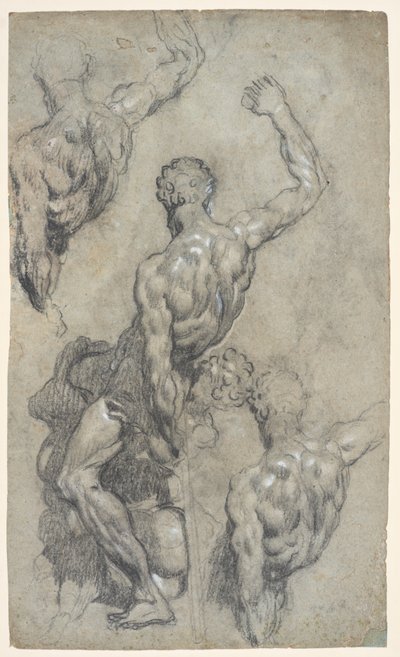 Estudios de "Sansón y los filisteos" de Miguel Ángel, c.1575-85 (tiza, carboncillo, gouache, papel) de Jacopo Robusti (workshop of) Tintoretto