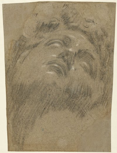 Giuliano dei Medici después de Miguel Ángel, c.1550 de Jacopo Robusti Tintoretto
