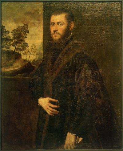 Joven noble de Jacopo Robusti Tintoretto