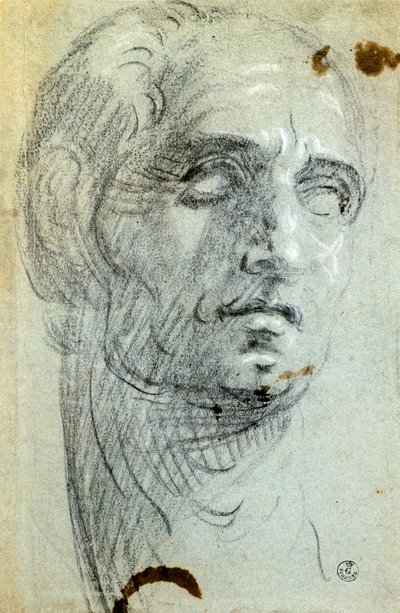 Cabeza masculina de Jacopo Robusti Tintoretto
