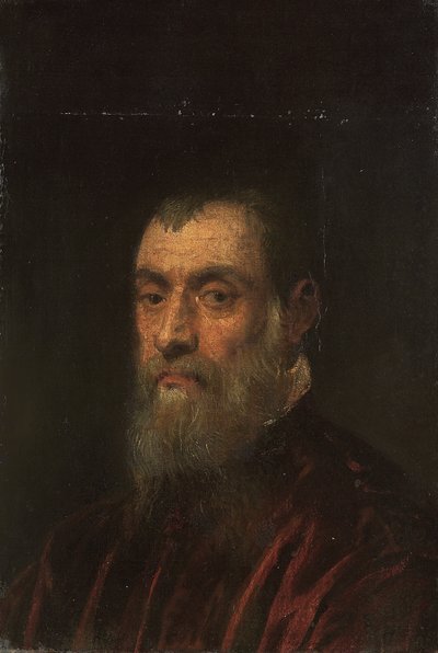 Retrato de un hombre con barba, busto, con una túnica roja de Jacopo Robusti Tintoretto