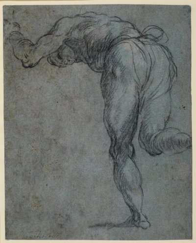 Estudio de una figura masculina inclinada hacia adelante, 1575-c.1585 de Jacopo Robusti Tintoretto