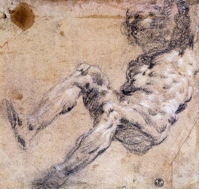 Estudio de desnudo masculino de Jacopo Robusti Tintoretto