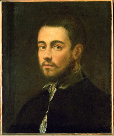 Joven con barba ... (óleo sobre lienzo) de Jacopo Robusti Tintoretto