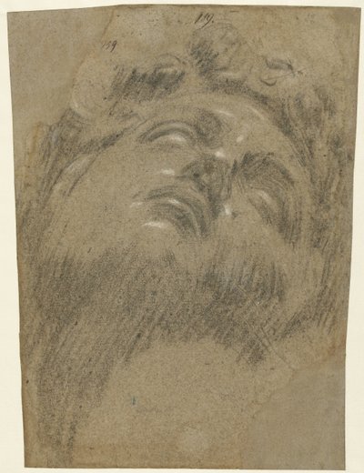 Hoofd van Giuliano dei Medici de Jacopo Tintoretto