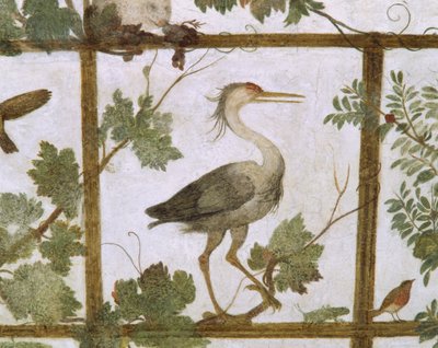 Ibis, de un fresco de un aviario en la Villa Medici, c.1576-77 de Jacopo Zucchi