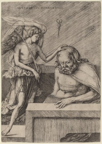 Custodi Nos Dormientes El ángel guardián de Jacopo de Barbari