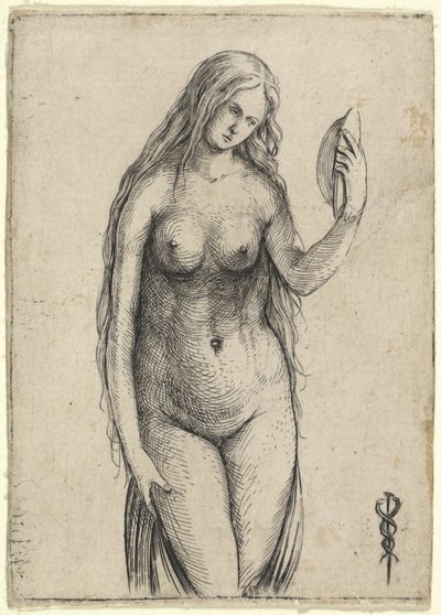 Mujer desnuda sosteniendo un espejo (Alegoría de la vanidad) de Jacopo de
