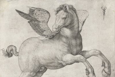 Pegaso, 1509-16 de Jacopo de Barbari