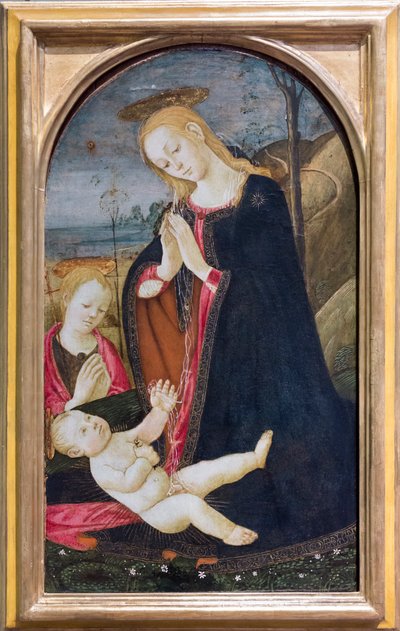 Adoración del Cristo con el joven San Juan Bautista de Jacopo del Sellaio
