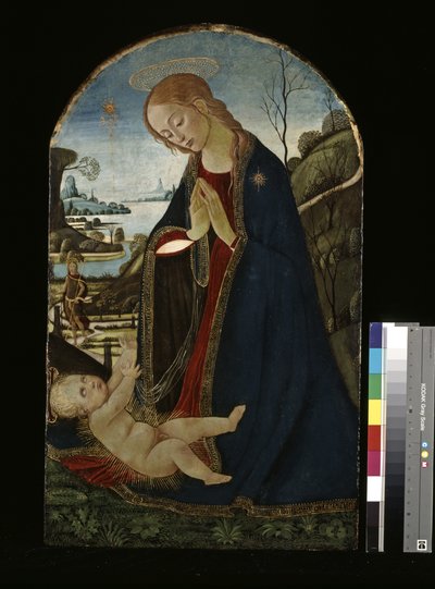 Virgen adorando al Niño Jesús (óleo sobre madera) de Jacopo del Sellaio