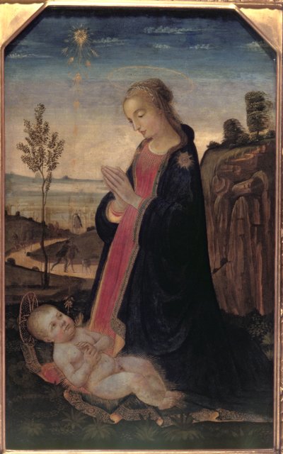 Madonna y el Niño en un paisaje de Jacopo del Sellaio