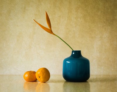 Flores tropicales y naranjas de Jacqueline Hammer