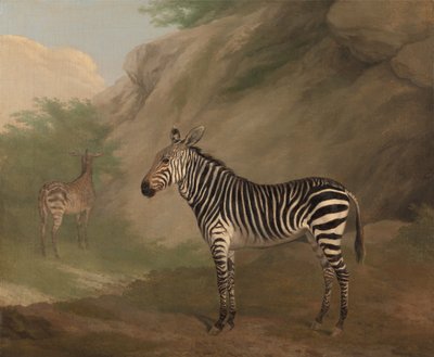 Cebra de Jacques-Laurent Agasse