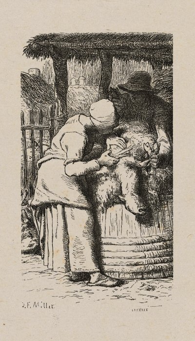 Mujer esquilando ovejas de Jacques Adrien Lavieille