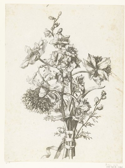 Ramo con anémonas, un jacinto y espuelas de caballero Diverse Fleurs mises en Boucquets (título de la serie) de Jacques Bailly (I)