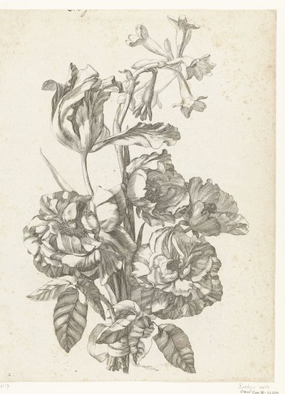 Ramo de peonías, tulipán y brodiaea Diverse Fleurs mises en Boucquets (título de la serie) de Jacques Bailly (I)