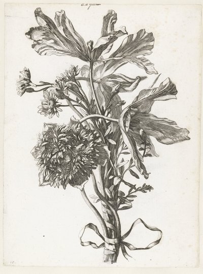Ramo de tulipanes marchitos, anémona y siemprevivas Diverse Fleurs mises en Boucquets (título de la serie) de Jacques Bailly (I)