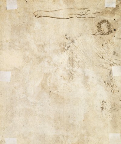 Estudio de una pierna, adorno y garabatos, 1610-17 de Jacques Bellange