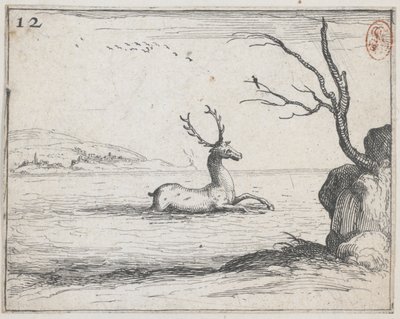 Un ciervo en el agua - núm. 12 de la serie de Jacques Callot