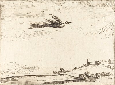 Ave del paraíso de Jacques Callot