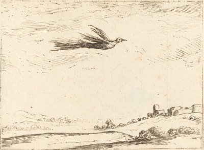 Ave del paraíso de Jacques Callot