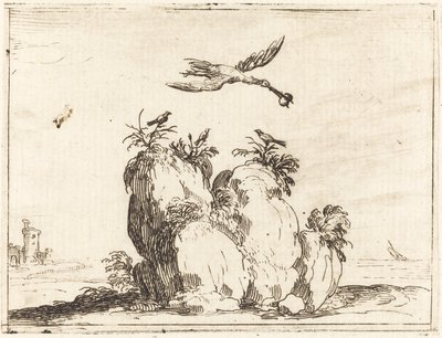 Grulla volando de Jacques Callot