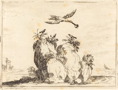 Grulla volando de Jacques Callot