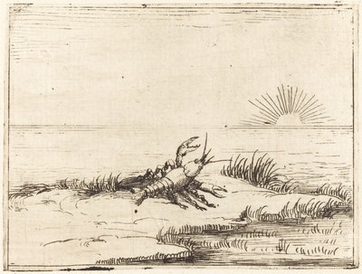 Cangrejo de río mirando al sol de Jacques Callot