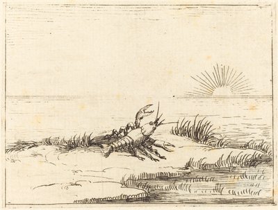 Cangrejo de río mirando al sol de Jacques Callot