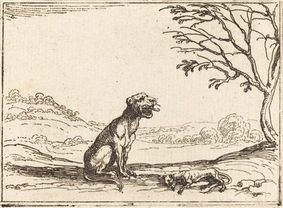 Leona llorando a su cachorro de Jacques Callot