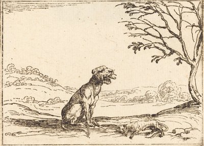 Leona llorando a su cachorro de Jacques Callot