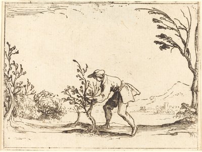 Hombre cortando un árbol de bálsamo de Jacques Callot