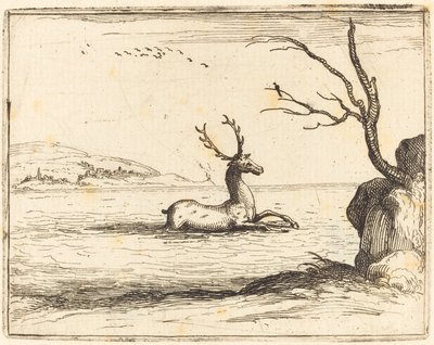 Ciervo en el Agua de Jacques Callot