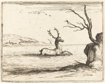 Ciervo en el Agua de Jacques Callot