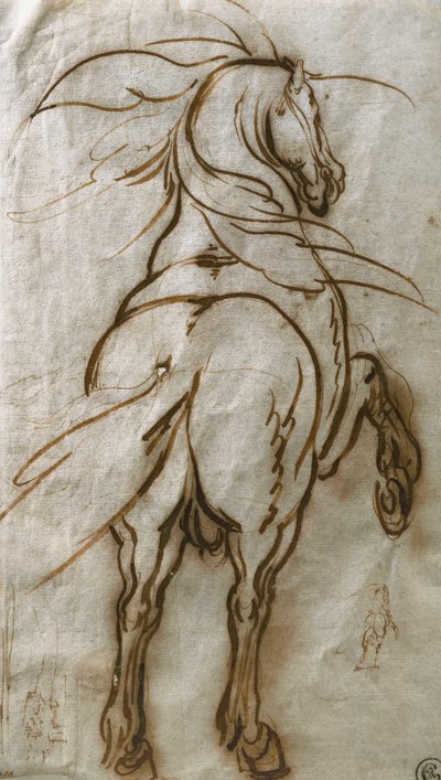 Estudio de un caballo encabritado, con un estudio subsidiario del mismo y una vista de una ciudad de Jacques Callot