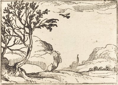 Tórtola Volando en el Desierto de Jacques Callot