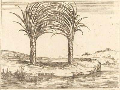 Dos palmeras de Jacques Callot