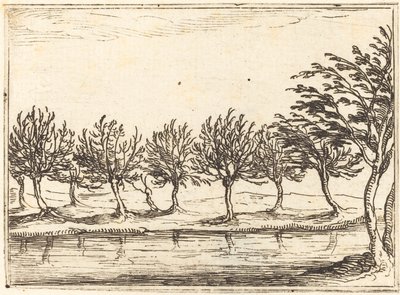 Sauces al borde del agua de Jacques Callot