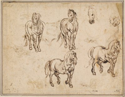 Estudios de caballos (anverso) de Jacques Callot after Antonio Tempesta
