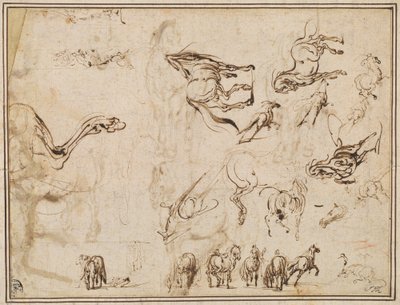 Estudios de caballos de Jacques Callot after Antonio Tempesta