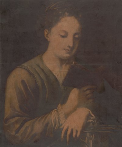 Lectura de Santa Catalina de Jacques Christophe Le Blon