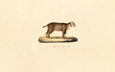  de Jacques Christophe Werner