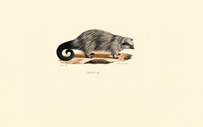  de Jacques Christophe Werner