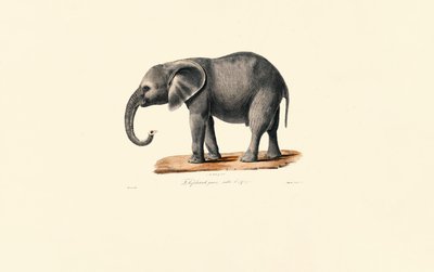  de Jacques Christophe Werner