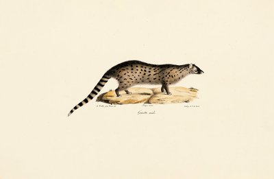  de Jacques Christophe Werner