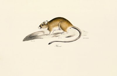  de Jacques Christophe Werner