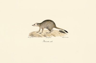  de Jacques Christophe Werner