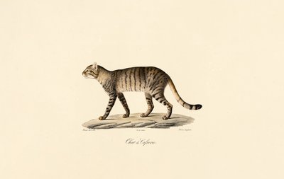  de Jacques Christophe Werner